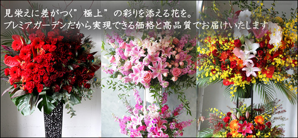 �v���~�A�K�[�f�� �X��